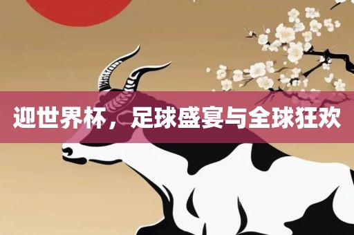 迎世界杯，足球盛宴与全球狂欢