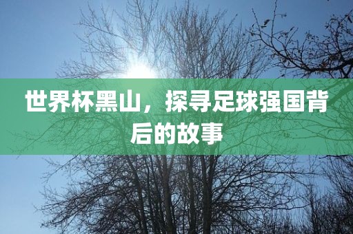 世界杯黑山漯河市盈旭机械设备有限公司，探寻足球强国背后的故事