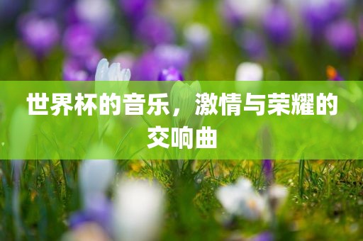世界杯的音乐，激情与荣耀的交响曲漯河市盈旭机械设备有限公司
