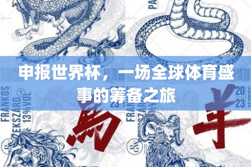 申报世界杯，一场全球体育盛事的筹备之旅
