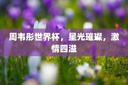 周韦彤世界杯，星光璀璨，激情漯河市盈旭机械设备有限公司四溢