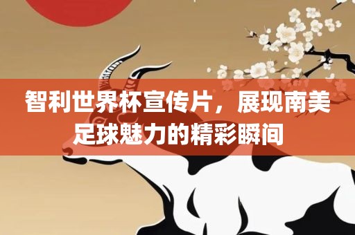 智利世界杯宣传片，展现南美足球魅力的精彩瞬间漯河市盈旭机械设备有限公司