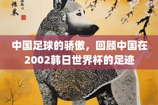 中国足球的骄傲，回顾中国在2002韩日世界杯的足迹