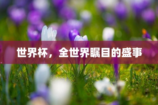世界杯，全世界瞩目的盛事