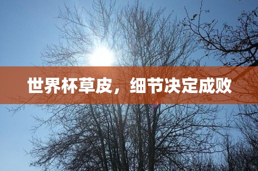 世界杯草皮，细节决定成败