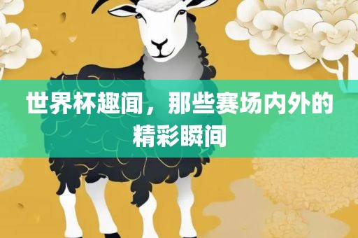 世界杯趣闻，那些赛场内外的精彩瞬间