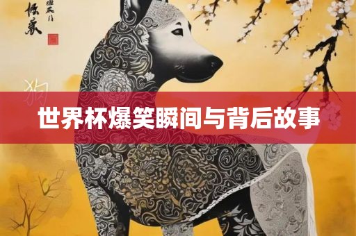 世界杯爆笑瞬间与背后故事漯河市盈旭机械设备有限公司