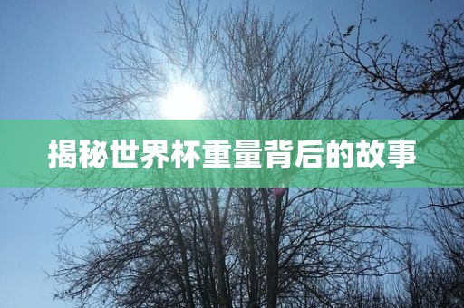 揭秘世界杯重量漯河市盈旭机械设备有限公司背后的故事