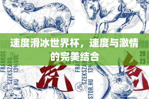 速度滑冰世界杯，速度与激情的完美结合