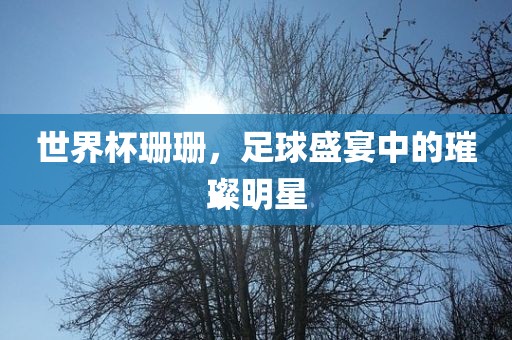 世界杯珊珊，足球盛宴中的璀璨明星漯河市盈旭机械设备有限公司