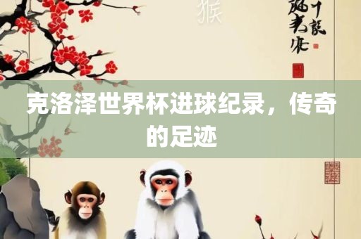 克洛泽世界杯进球纪录，传奇的足迹