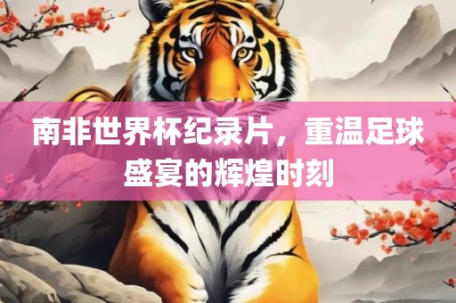 南非世界杯纪录片，重温足球盛宴的辉煌时刻