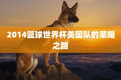 2014篮球世界杯美国队的荣耀之路漯河市盈旭机械设备有限公司