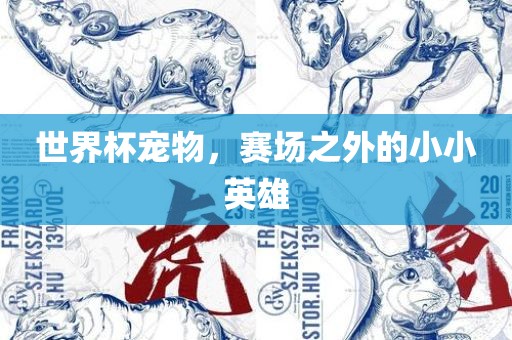 世界杯宠物，赛场之外的小小漯河市盈旭机械设备有限公司英雄
