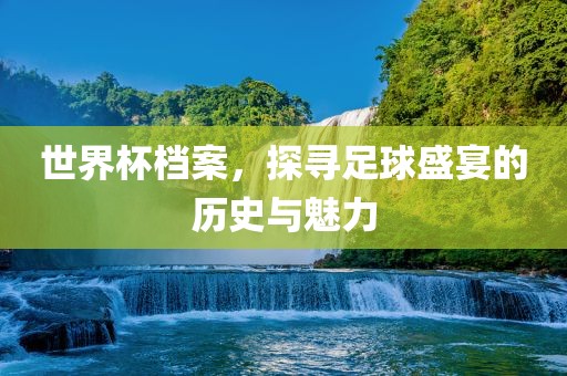 世界杯档案，探寻足球盛宴的历史与魅力