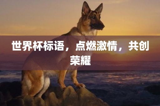 世界杯标语，点燃激情，共创荣耀漯河市盈旭机械设备有限公司