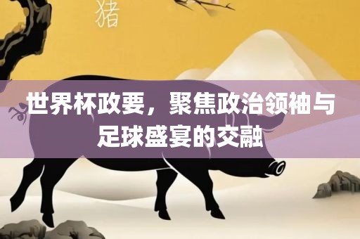 世界杯政要，聚焦政治领袖与足球盛宴的交融漯河市盈旭机械设备有限公司