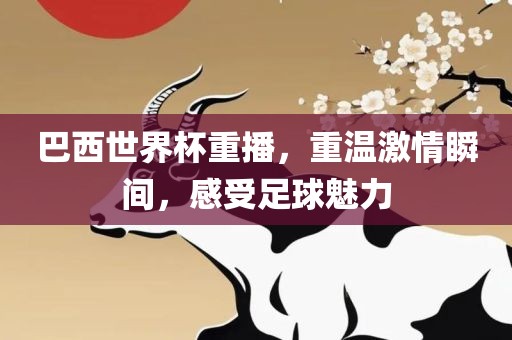 巴西世界杯重播，重温激情瞬间，感受足球魅力漯河市盈旭机械设备有限公司