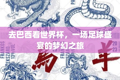 去巴西看世界杯，一场足球盛宴的梦幻之旅