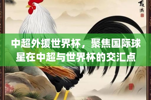 中超外援世界杯，聚焦国际球星在中超与世界杯的交汇点