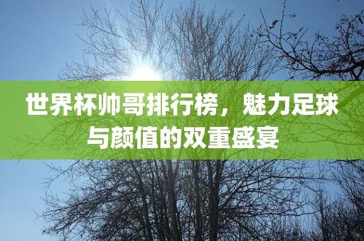 世界杯帅哥排行榜，魅力足球与颜值的双重盛宴