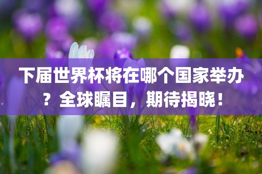 下届世界杯将在哪个国家举办？全球瞩目，期待揭晓！
