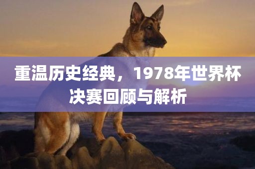 重温历史经典，1978年世界杯决赛回顾与解析