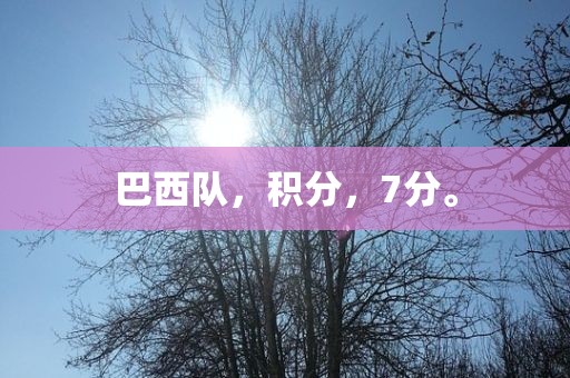 巴西队，积分，7分。漯河市盈旭机械设备有限公司