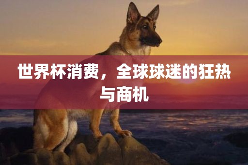 世界杯消费，全球球迷的狂热与商机