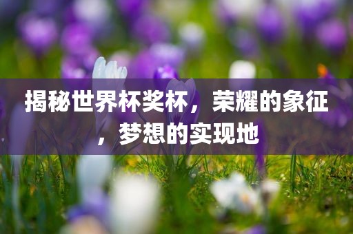 揭秘世界杯奖杯，荣耀的象征，梦想的实现地