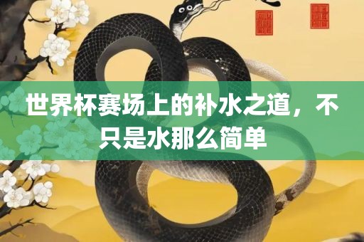世界杯赛场上的补水之道，不只是水那么简单