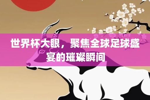 世界杯大眼，聚焦全球足球盛宴的璀璨瞬间