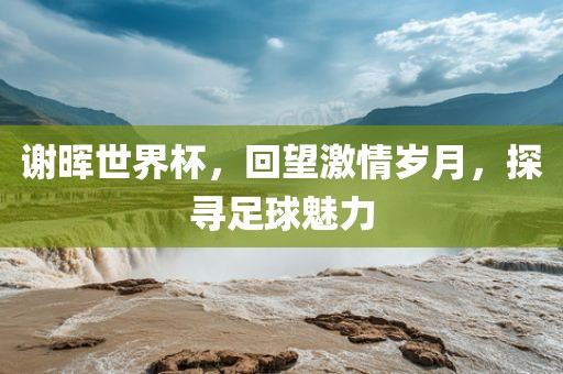谢晖世界杯，回望激情岁月，探寻足球魅力