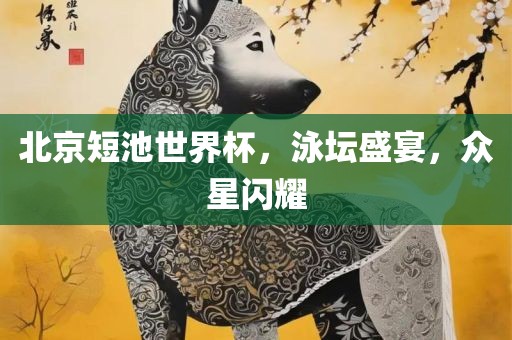 北京短池世界杯，泳坛盛宴，众星闪耀