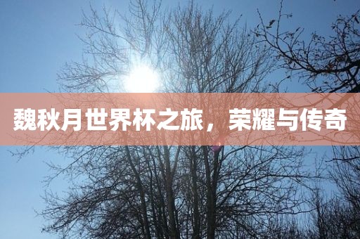 魏秋月世界杯之旅，荣耀与传奇