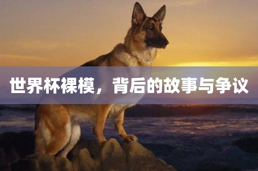 世界杯裸模，背后的故事与争议