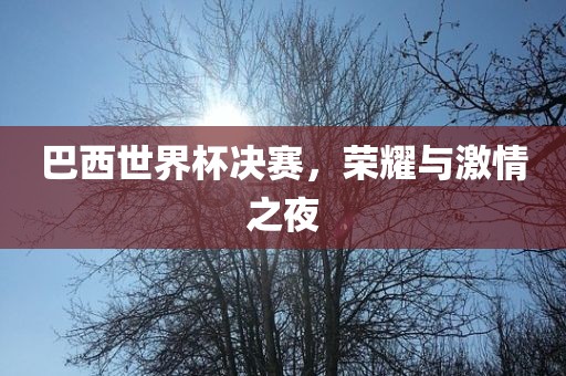 巴西世界杯决赛，荣耀与激情之夜