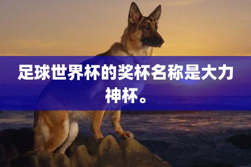足球世界杯的奖杯名称是大力神杯。