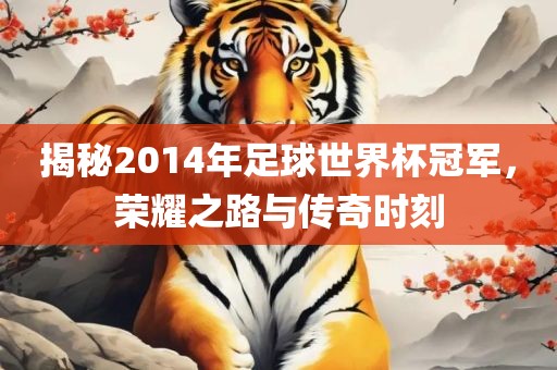 揭秘2014年足球世界杯冠军，荣耀之路与传奇时刻