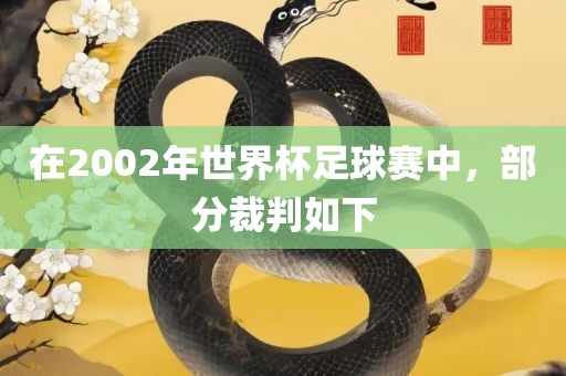 在2002年世界杯足球赛中，部分裁判如下