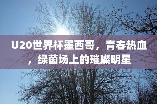 U20世界杯墨西哥，青春热血，绿茵场上的璀璨明星