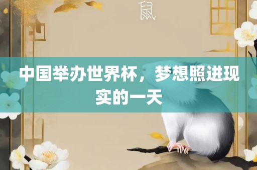 中国举办世界杯，梦想照进现实的一天