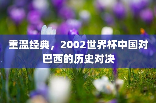 重温经典，2002世界杯中国对巴西的历史对决