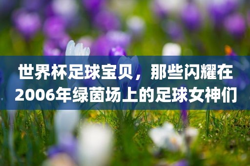 世界杯足球宝贝，那些闪耀在2006年绿茵场上的足球女神们