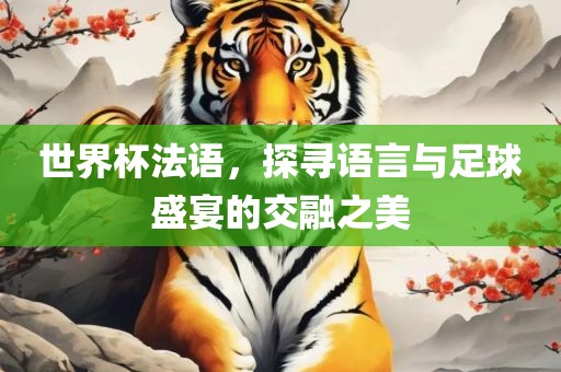 世界杯法语，探寻语言与足球盛宴的交融之美漯河市盈旭机械设备有限公司