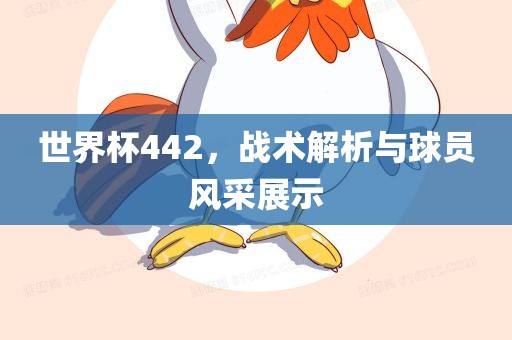 世界杯442，战术解析与球员风采展示