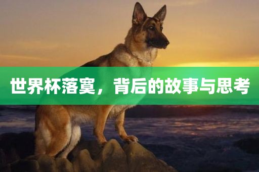 世界杯落寞，背后的故事与思考