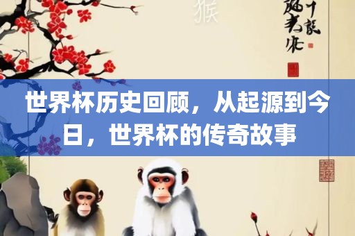 世界杯历史回顾，从起源到今日，世界杯的传奇故事