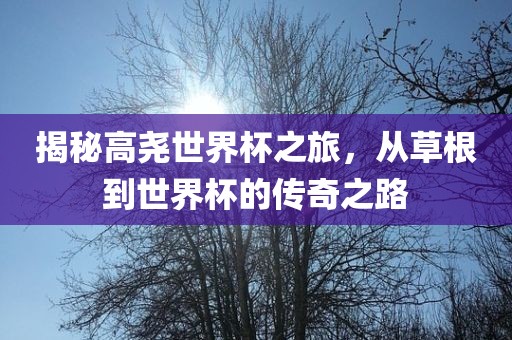 揭秘高尧世界杯之旅，从草根到世界杯的传奇之路