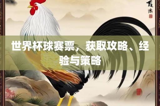 世界杯球赛票，获取攻略、经验与策略